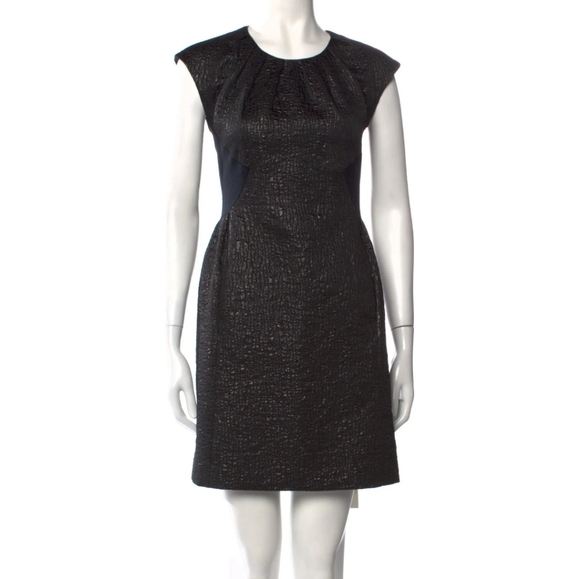 Rachel Comey Glossy Textured Paneled Dress Made in NYC Size Medium - Picture 4 of 12